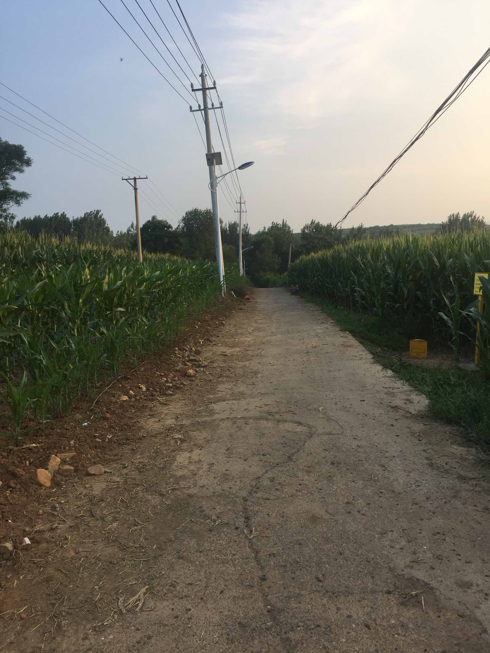 宜阳县赵堡镇人口_宜阳县赵堡镇二道沟村(2)