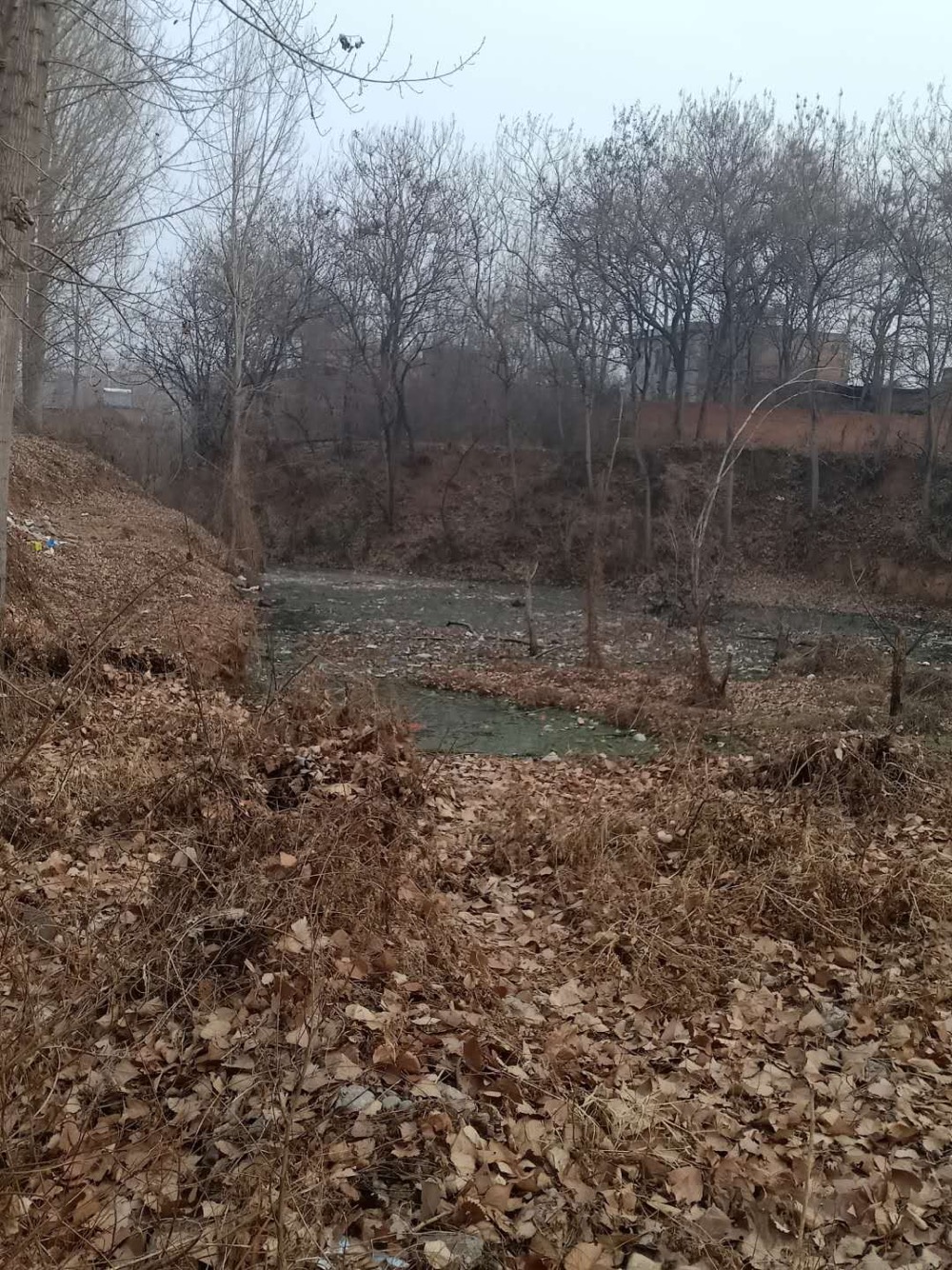 现在国家特别重视人居环境的情况下,常岭村村民居住的村里还有臭水坑